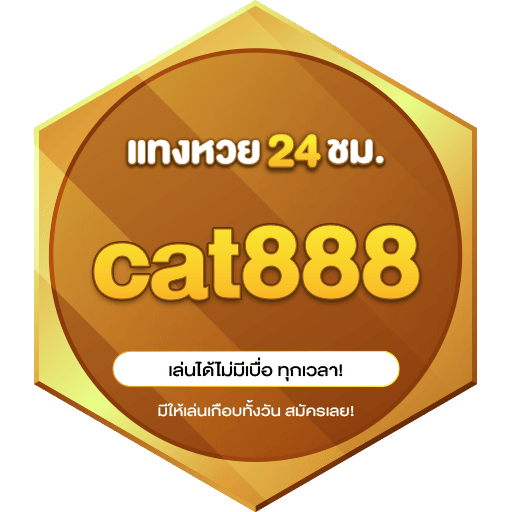 cat888